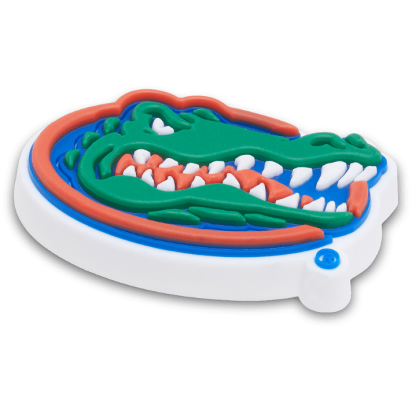 University of Florida - Image 2