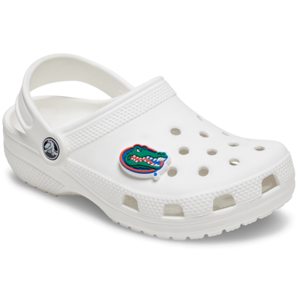 University of Florida - Image 3