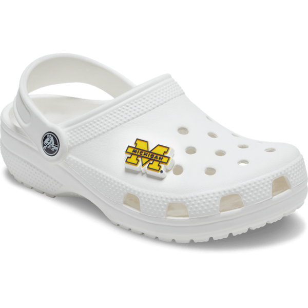 University of Michigan - Image 3