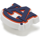 Auburn University