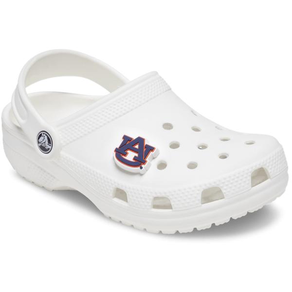 Auburn University - Image 3