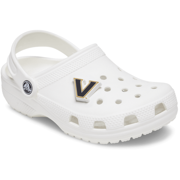 Vanderbilt University - Image 3