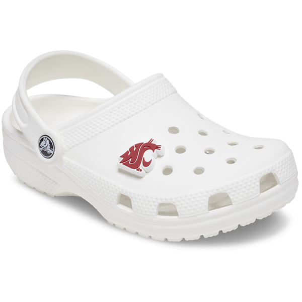 Washington State University - Image 3