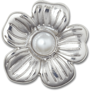 Silver Monochrome Daisy 2