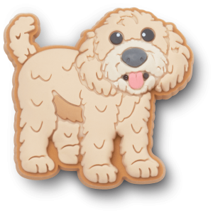Golden Doodle Puppy