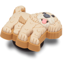 Golden Doodle Puppy