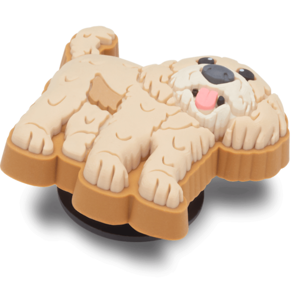 Golden Doodle Puppy - Image 2