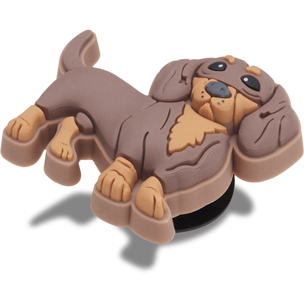 Dachshund Puppy - Image 2