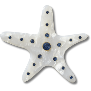 Silver Starfish