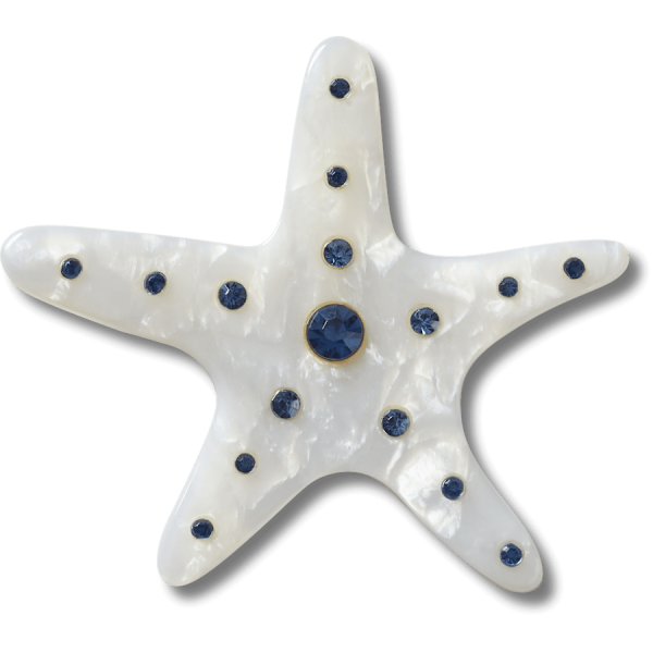 Silver Starfish