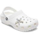 Silver Starfish