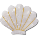 White and Gold Seashell