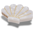 White and Gold Seashell