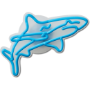 Lights Up Shark