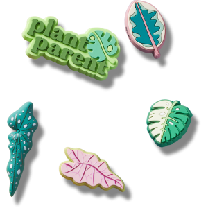 Indoor Plant Besties 5 Pack