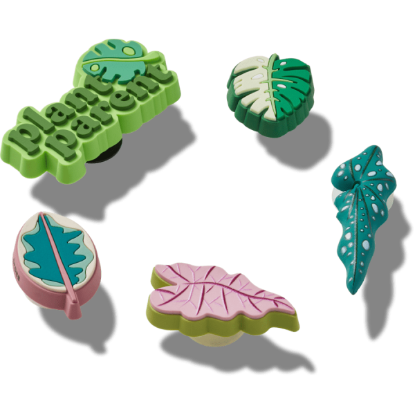Indoor Plant Besties 5 Pack - Image 2